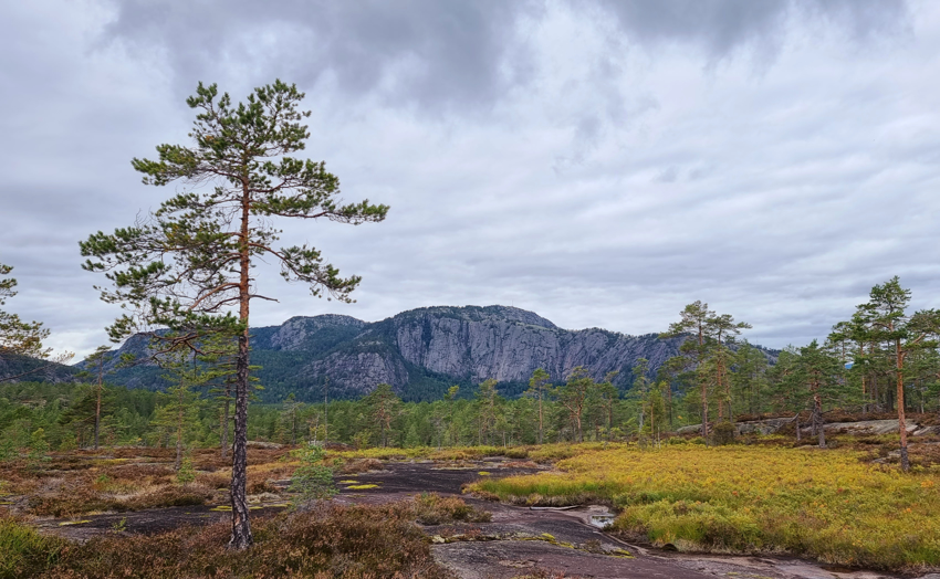 Skuggenatten sett fra Solheia