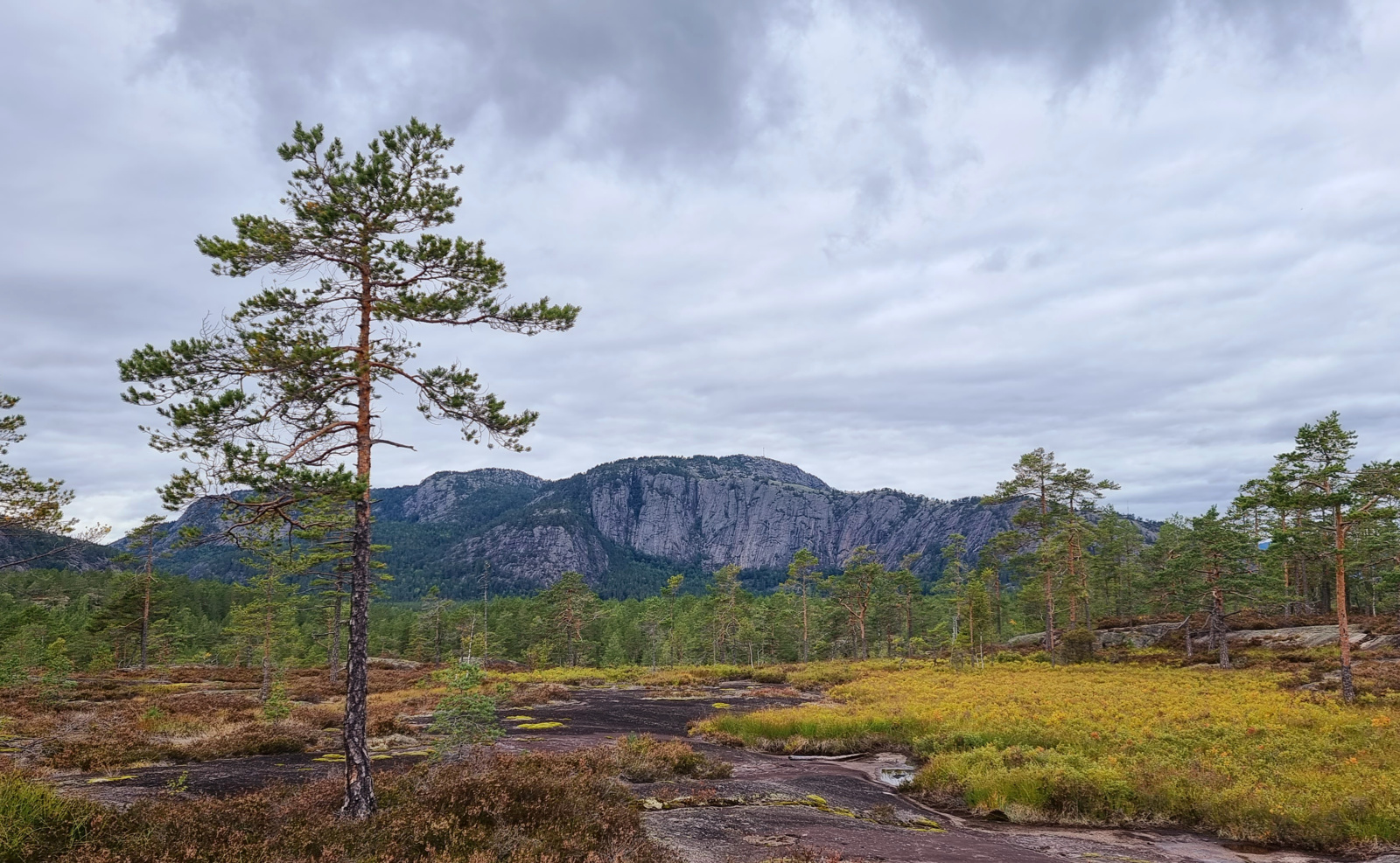 Skuggenatten sett fra Solheia