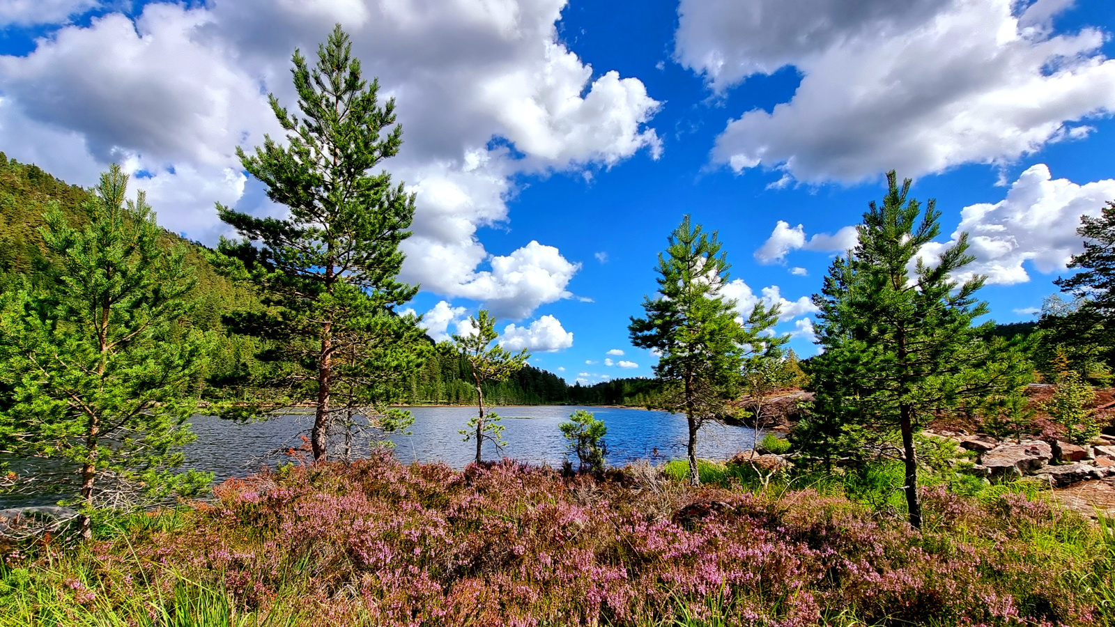 Nordvatn ca 8 km fra hytta