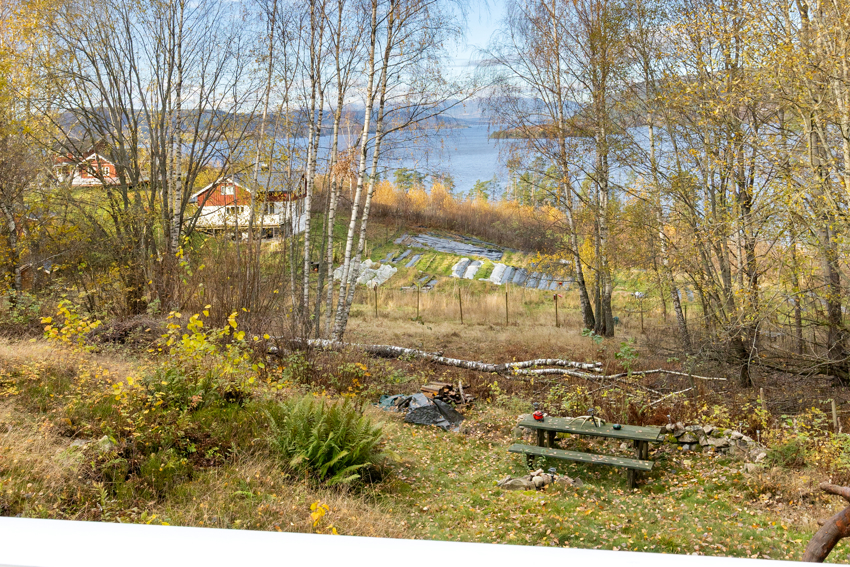 Pent opparbeidet uteområder tilbaketrukket i skogen med trær og naturlig vegetasjon