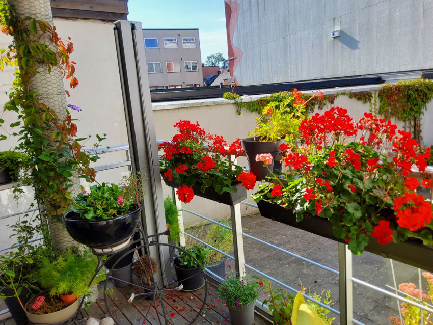 Her har du mulighet til å beplante med diverse blomster for å skape en rolig og fin atmosfære. 