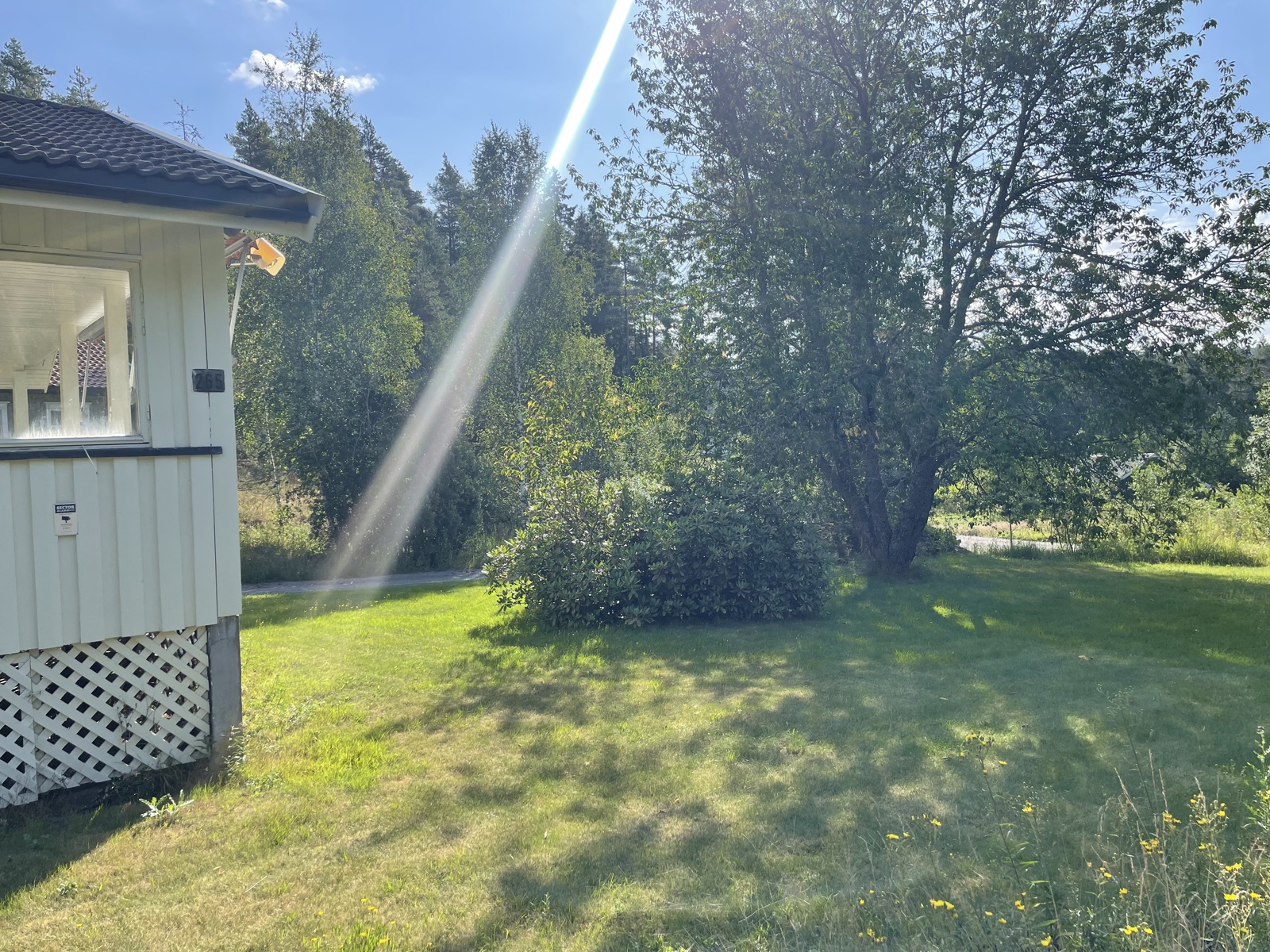 Her er det god plass til å leke og boltre seg. 