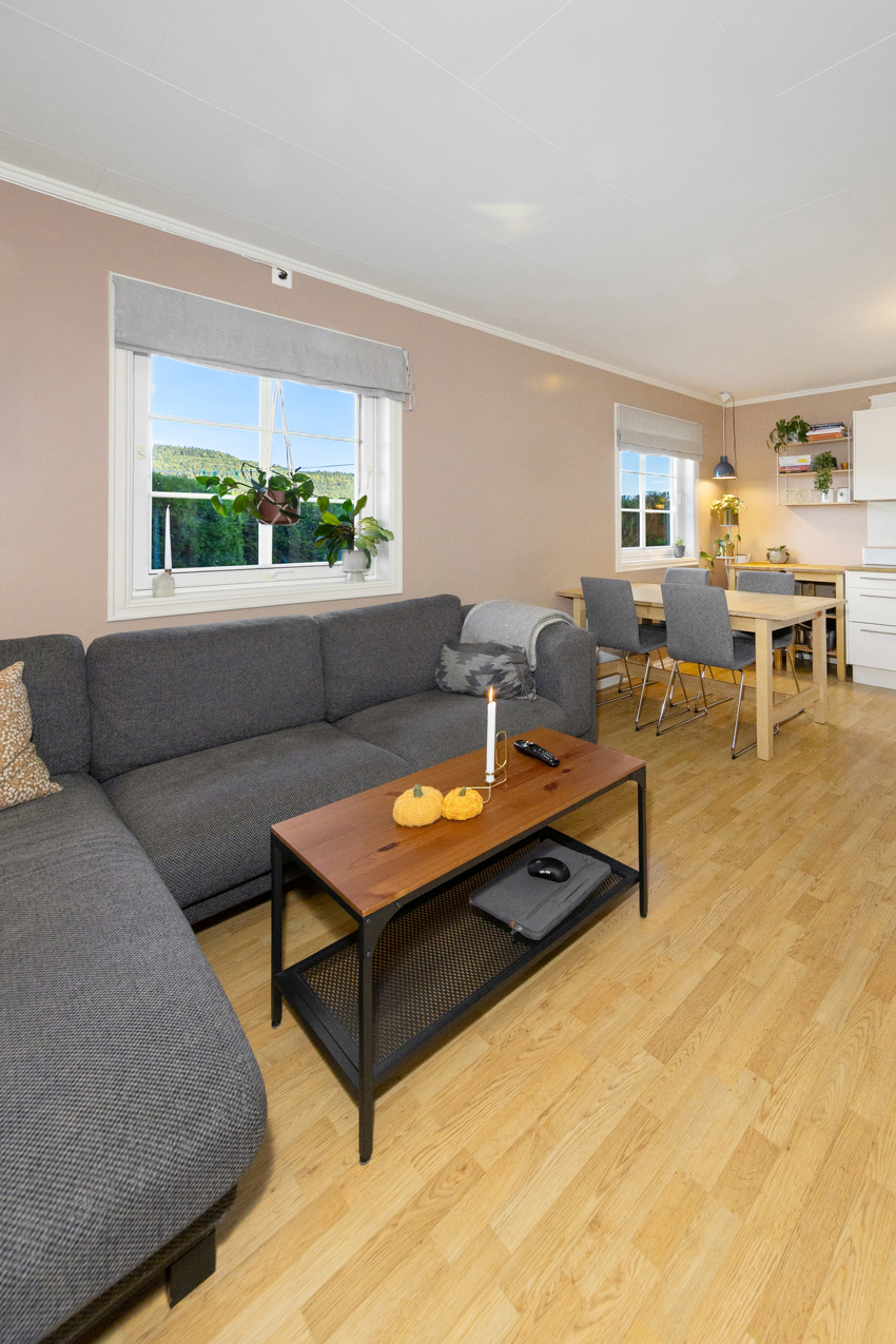 Stuedel med plass til en god sofagruppe/ vinkelsofa.