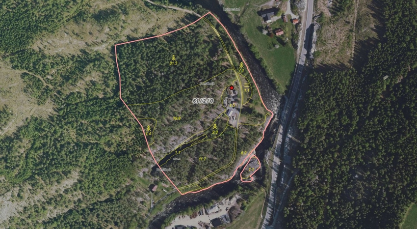 Flyfoto hentet fra Nibio gårdskart 