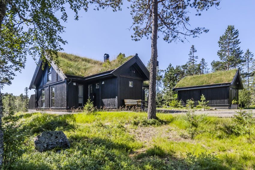 Hytte og garasje med torvtak som passer utmerket til hytteområde på Svanstul