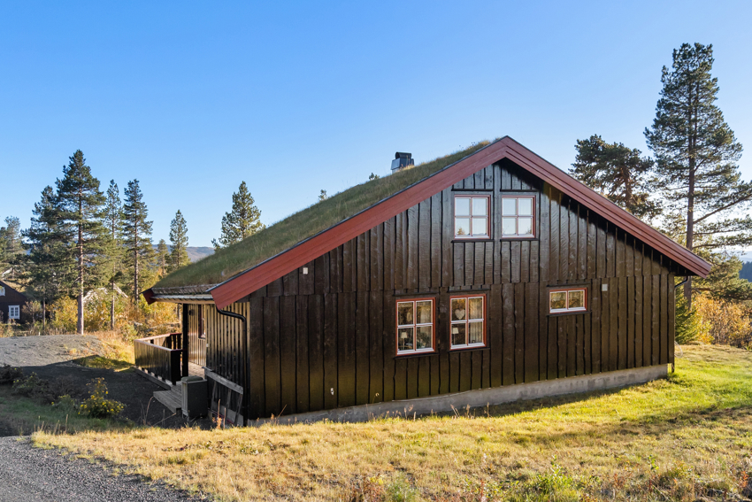 Pent opparbeidet uteområder tilbaketrukket i skogen med trær og naturlig vegetasjon
