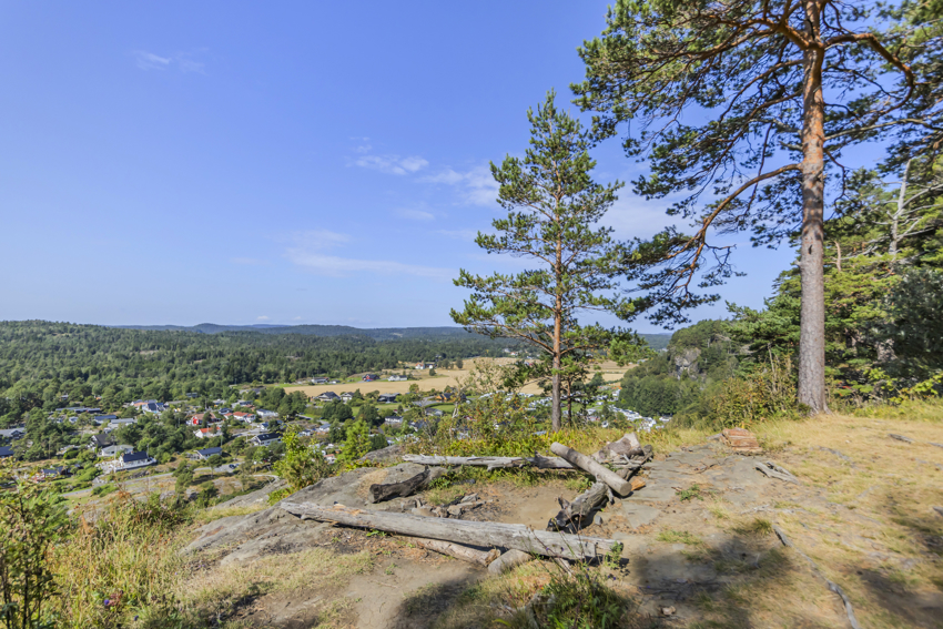 Utsikten fra Rognsåsen