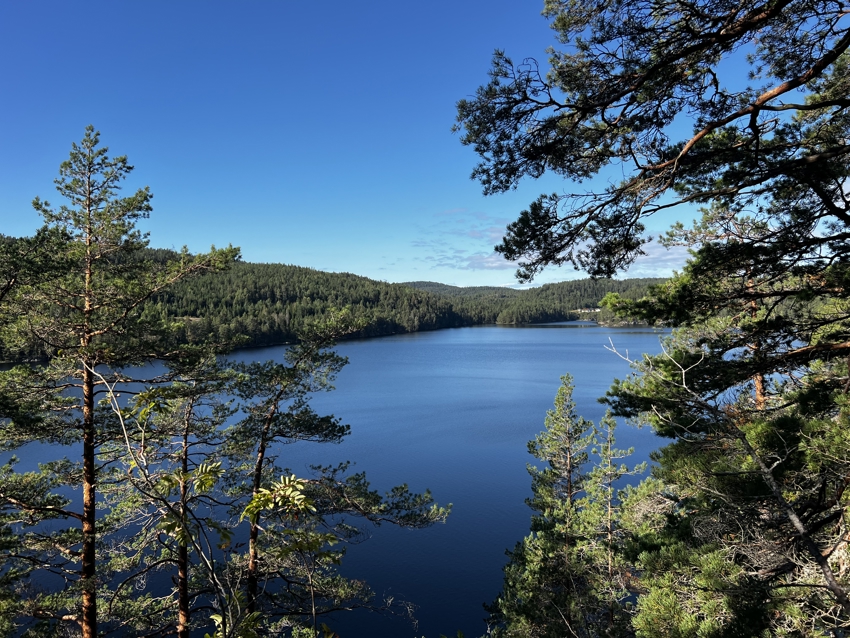 Utsikt over Flåte fra Oreholtkollen