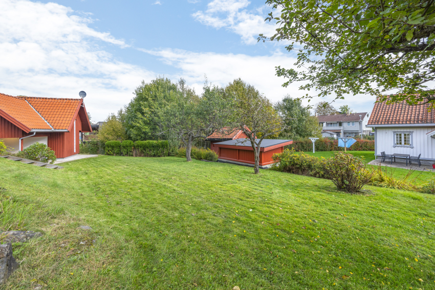 Stor plen som er pent beplantet