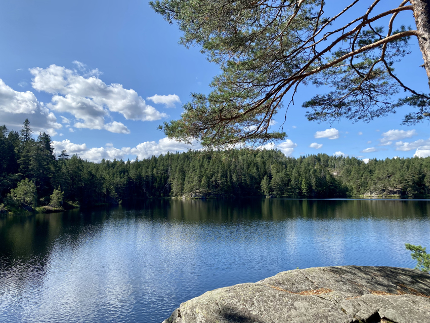 Nærmiljø: Tvittingen