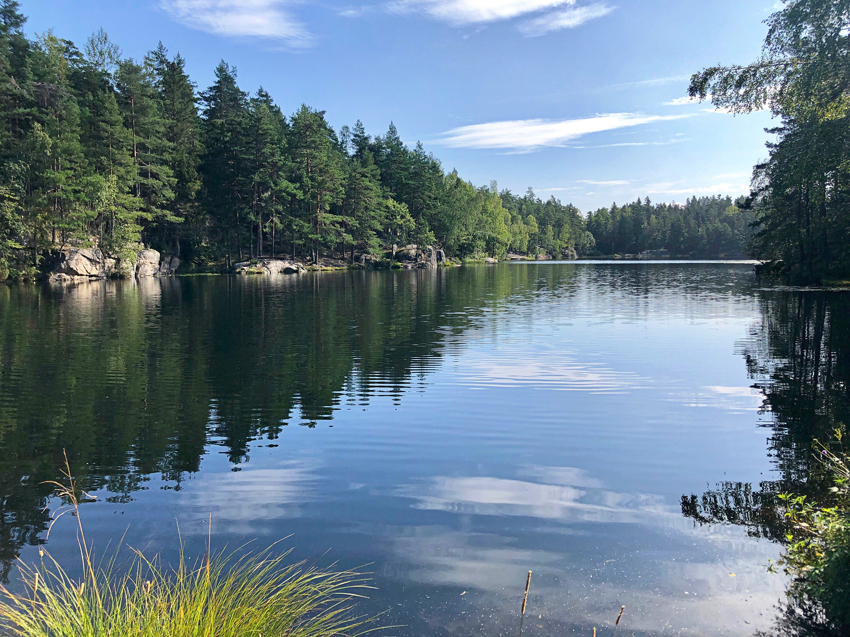 Nærmiljø: Åletjern