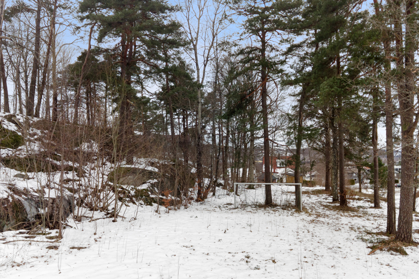 Friluftsområde/ fotballøkke.