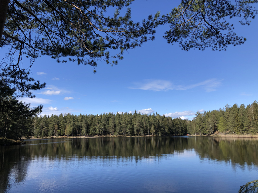 Nærmiljø: Fine turmuligheter - her fra Hvitsteintjenn