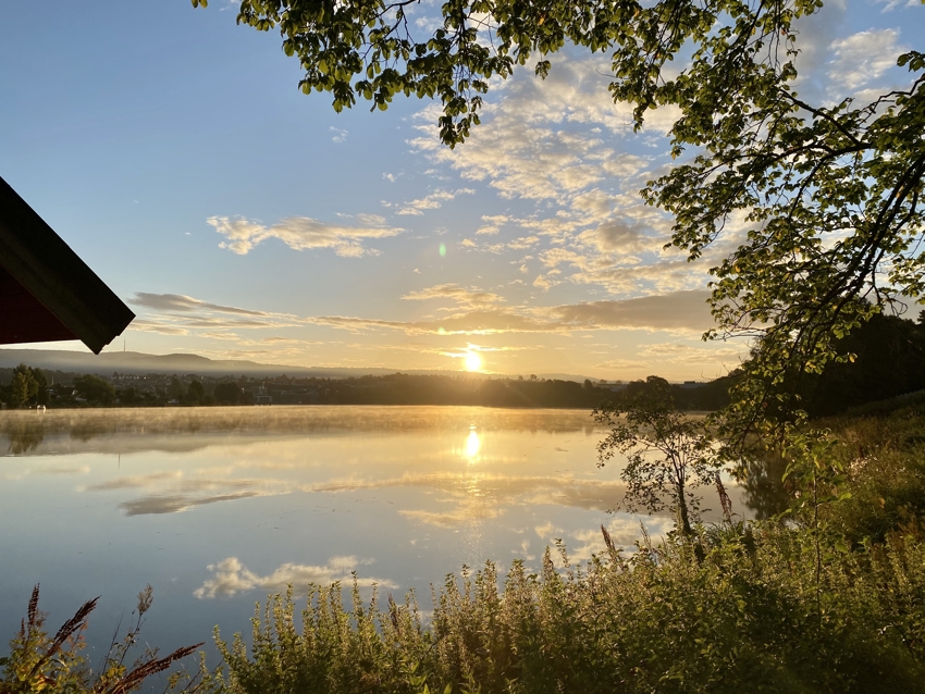 Nærmiljø: Fra den fine turen rundt Hjellevannet som du har 