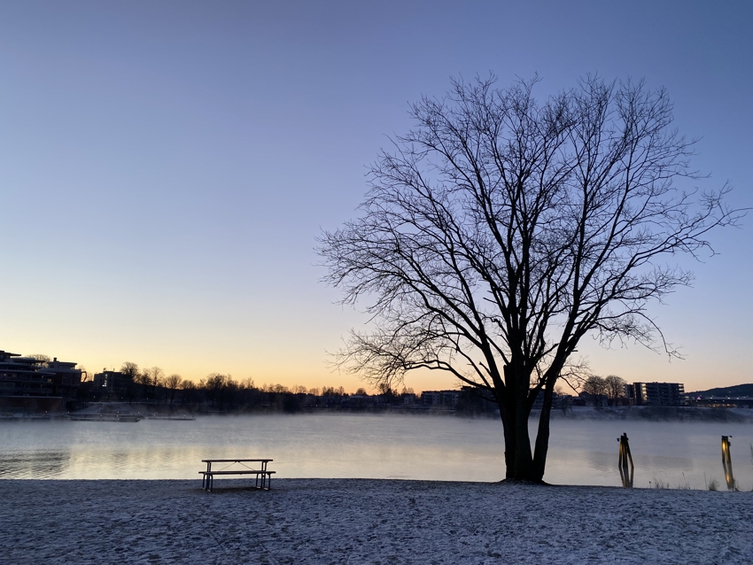 Nærmiljø: Fra den fine turen rundt Hjellevannet som du har 